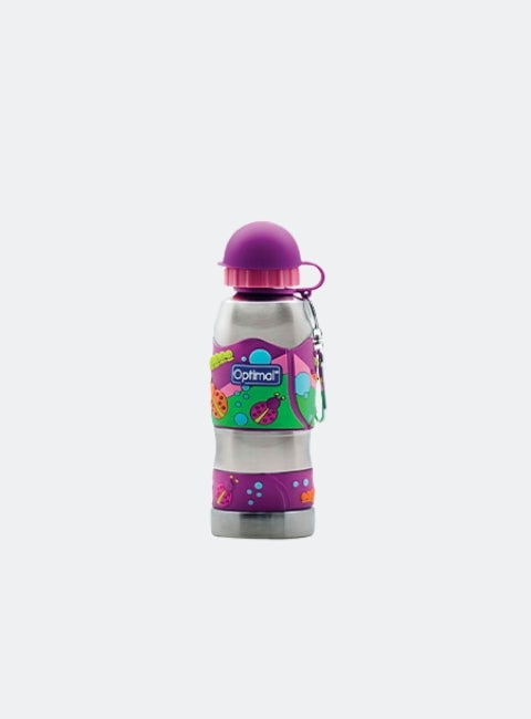 Stainless Steel Water Bottle (450ML)