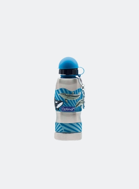 Stainless Steel Water Bottle (450ML)